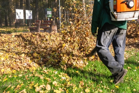 Leaf cleanup conway ar